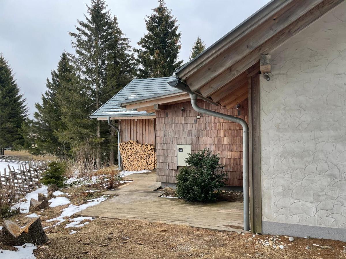 Teichalm Lodge Landhaus 플라트니츠 안 데어 타이할름 외부 사진