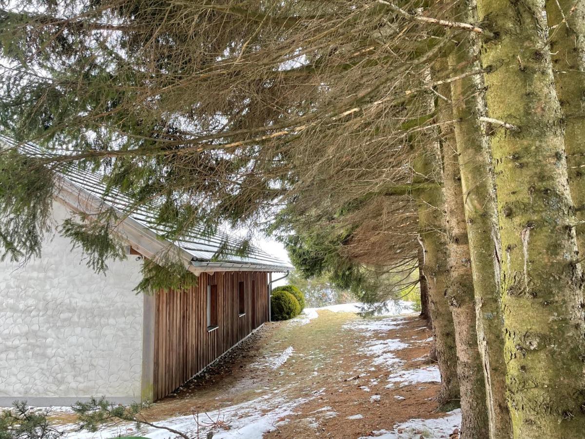 Teichalm Lodge Landhaus 플라트니츠 안 데어 타이할름 외부 사진