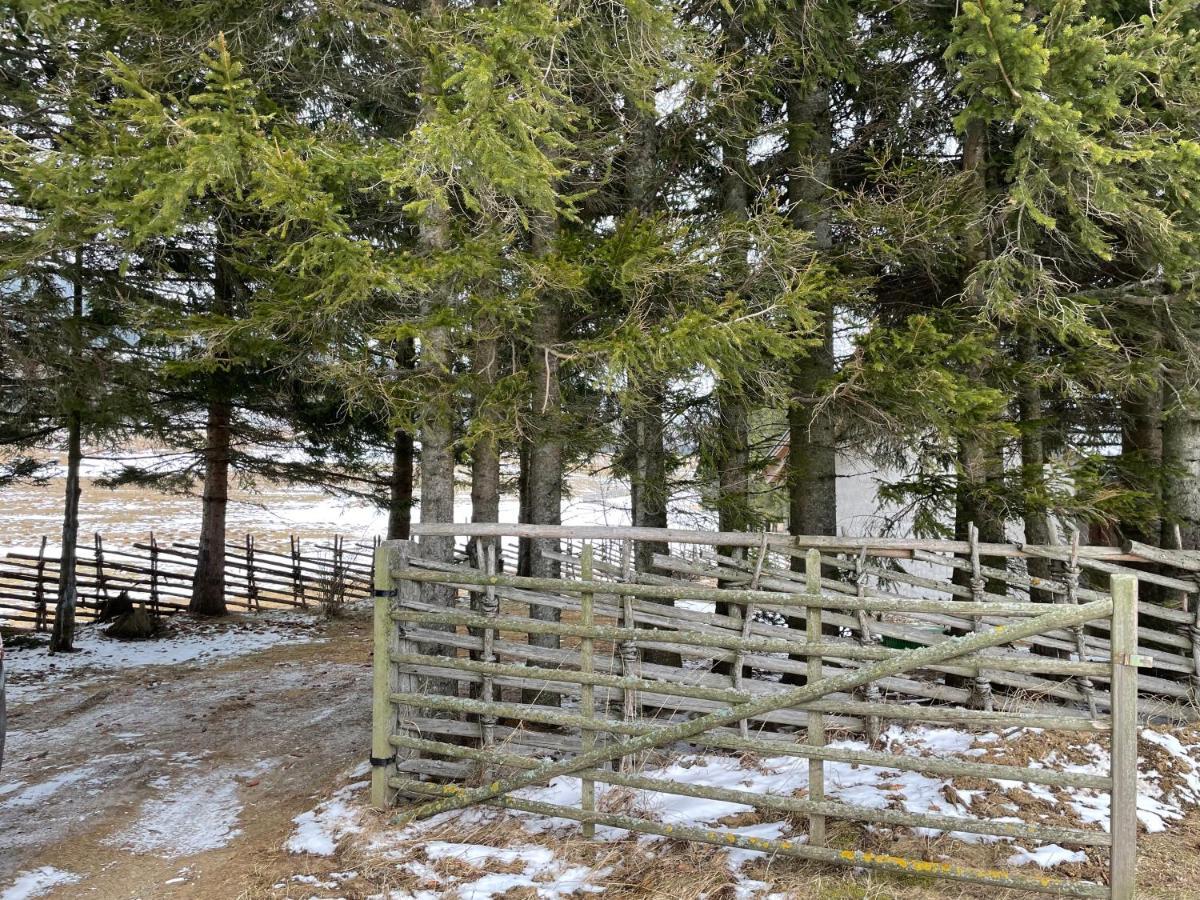 Teichalm Lodge Landhaus 플라트니츠 안 데어 타이할름 외부 사진